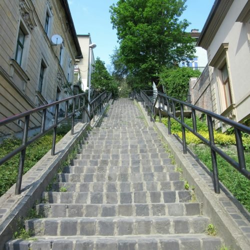 Langkah-Langkah Publikasi di OJS untuk Jurnal Nasional